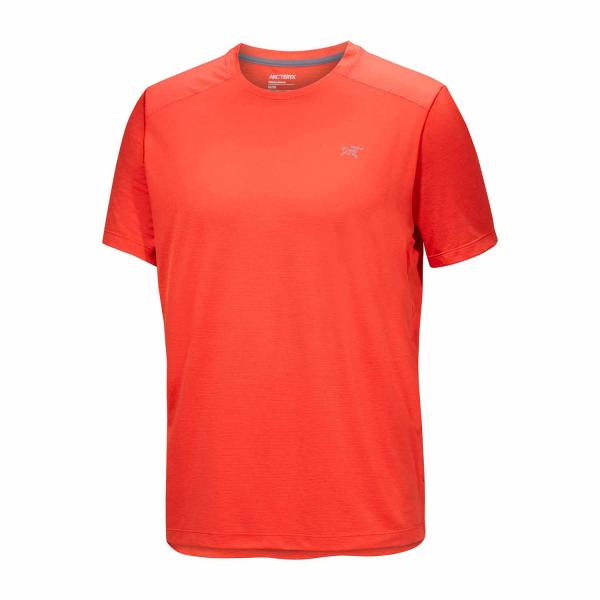 Arc'teryx Cormac Crew SS Herren Dynastie Heather