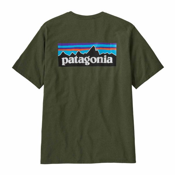 Patagonia M's P-6 Logo Responsibili-Tee Torrey Pine Green