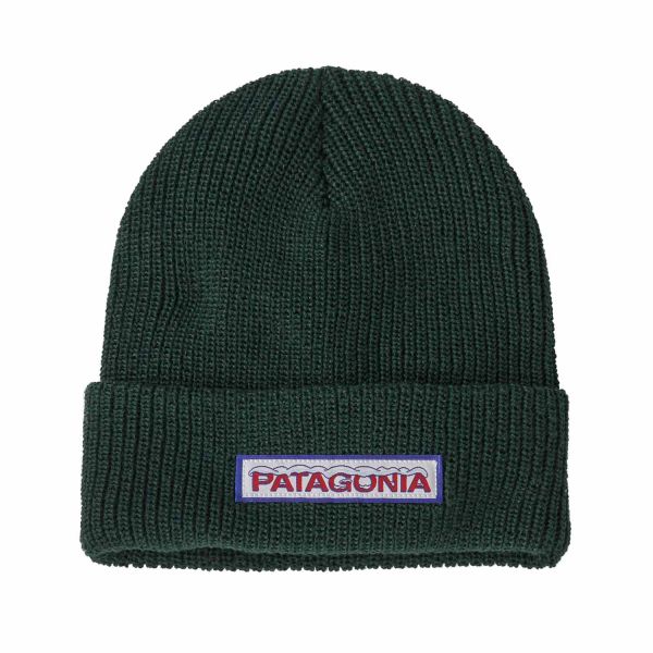 Patagonia K's Logo Beanie Chill: Conifer Green